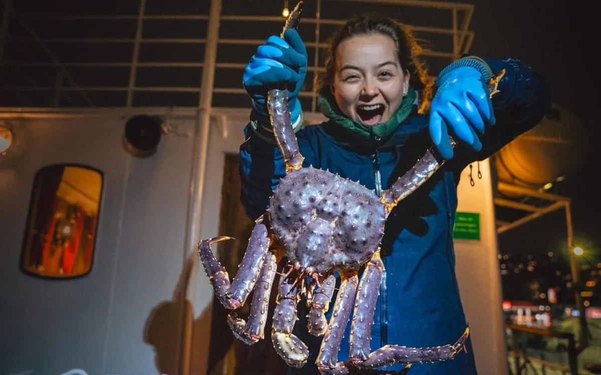 A king crab safari in Arctic Norway: catching, cooking and eating the crab
