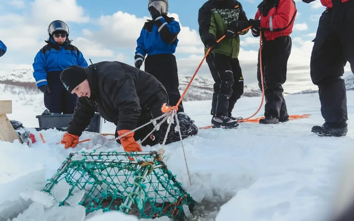 A crab pot pulled up through a hole in the frozen fjord on a winter safari